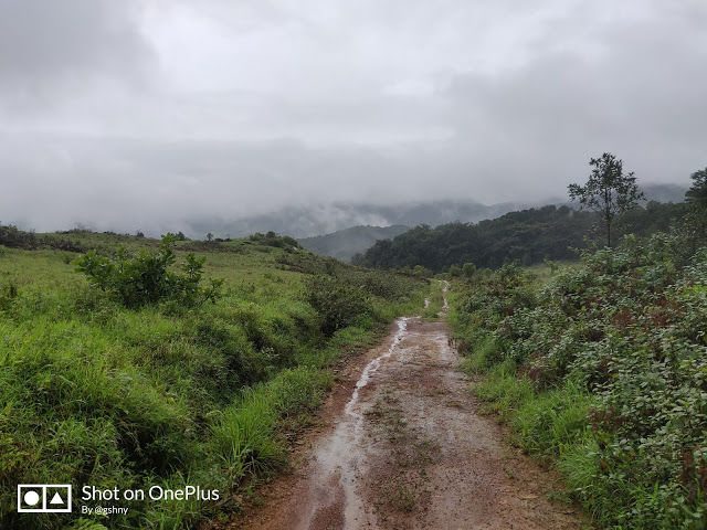 Photo of Kudremukh Monsoon trek and Western Ghats 12/27 by GSHNY