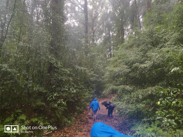Photo of Kudremukh Monsoon trek and Western Ghats 13/27 by GSHNY