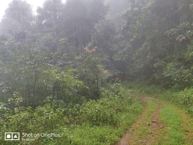 Photo of Kudremukh Monsoon trek and Western Ghats 14/27 by GSHNY