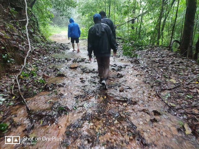 Photo of Kudremukh Monsoon trek and Western Ghats 15/27 by GSHNY