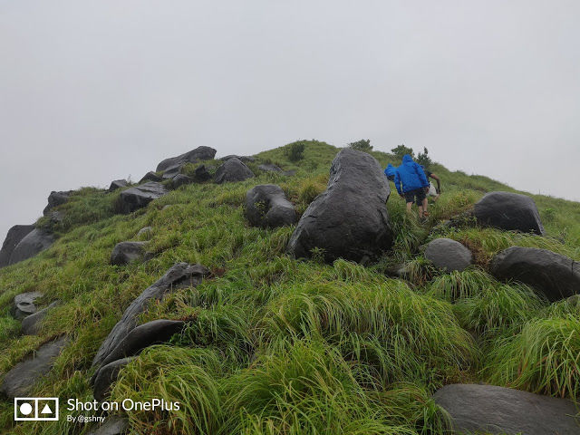 Photo of Kudremukh Monsoon trek and Western Ghats 17/27 by GSHNY