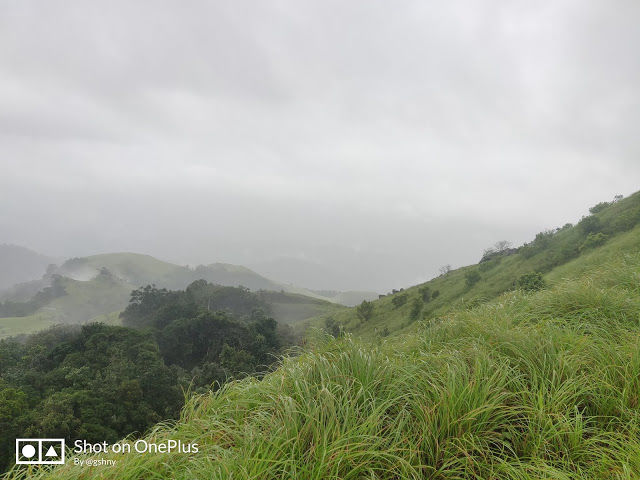 Photo of Kudremukh Monsoon trek and Western Ghats 21/27 by GSHNY