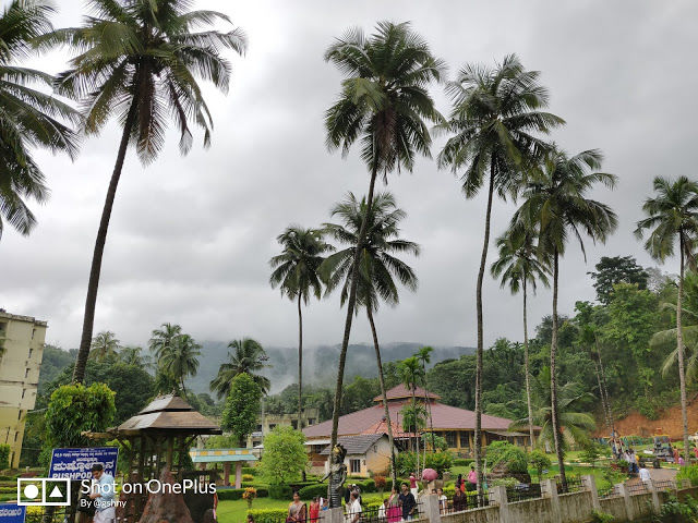 Photo of Kudremukh Monsoon trek and Western Ghats 22/27 by GSHNY