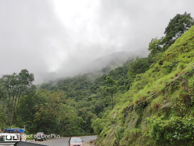 Photo of Kudremukh Monsoon trek and Western Ghats 25/27 by GSHNY