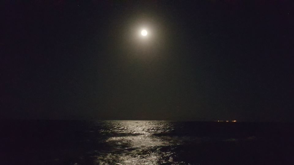 Photo of Dahab, Qesm Saint Katrin, South Sinai Governorate, Egypt by Reena Chaudhary
