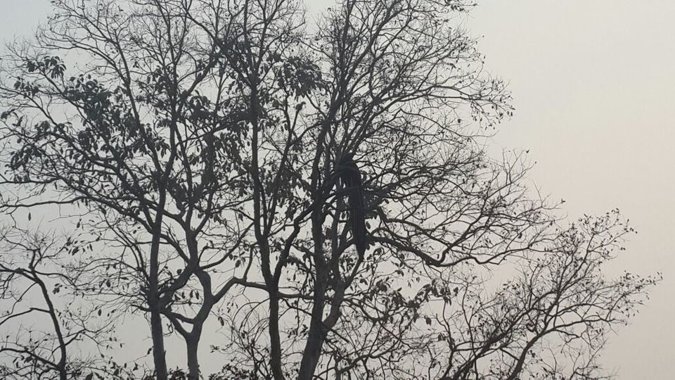 Photo of Amazing Corbett weekend trip of a girl gang 1/15 by Anshu Anand