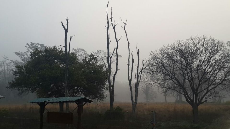 Photo of Amazing Corbett weekend trip of a girl gang 4/15 by Anshu Anand