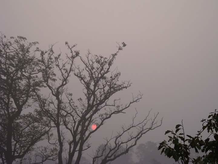 Photo of Amazing Corbett weekend trip of a girl gang 8/15 by Anshu Anand