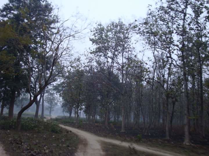 Photo of Amazing Corbett weekend trip of a girl gang 11/15 by Anshu Anand