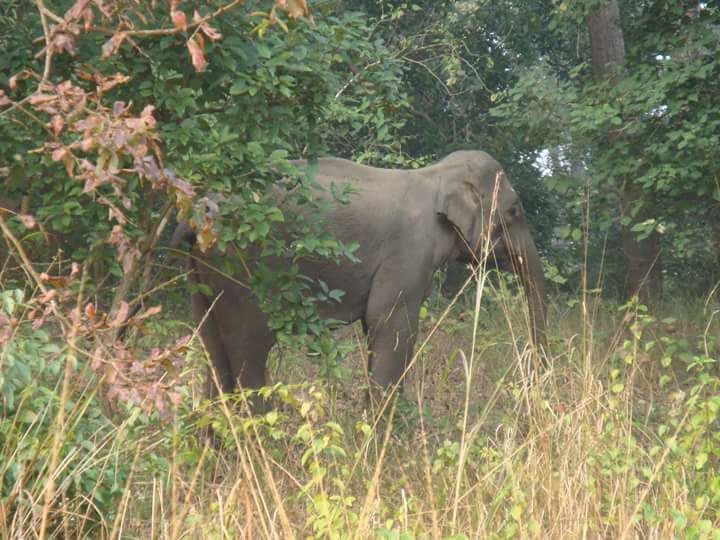Photo of Amazing Corbett weekend trip of a girl gang 12/15 by Anshu Anand