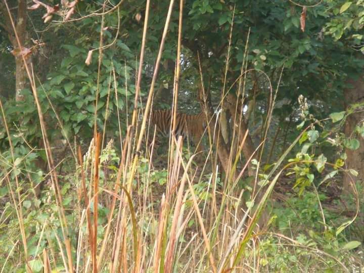 Photo of Amazing Corbett weekend trip of a girl gang 13/15 by Anshu Anand
