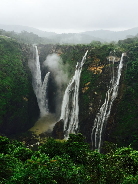 Photo of Jog Falls by Neha