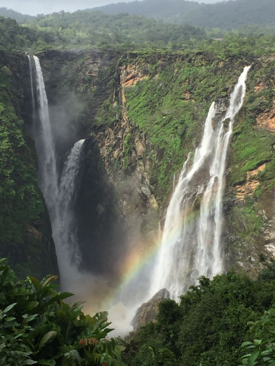 Photo of Jog Falls by Neha