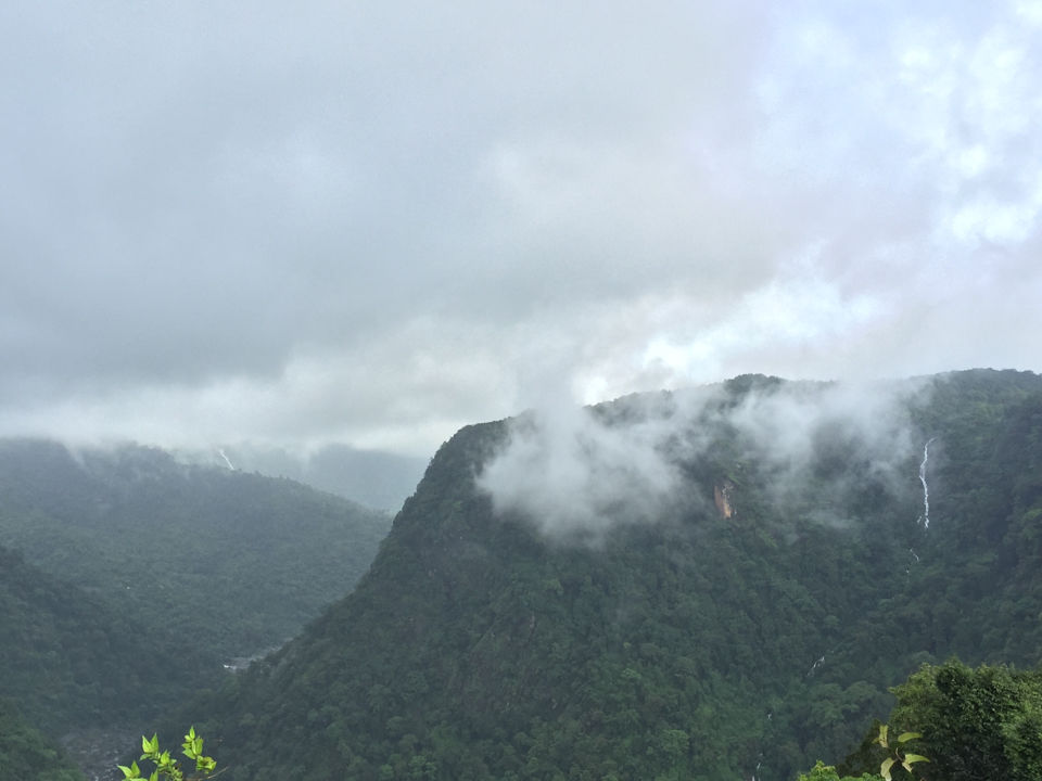 Photo of Jog Falls by Neha