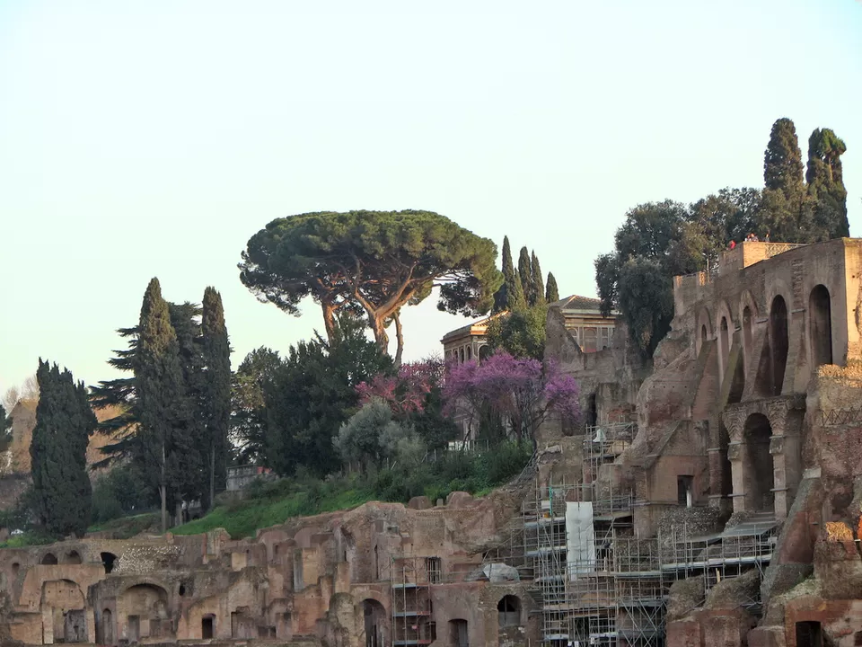 Photo of Palatine Hill, Rome, Italy by Maria Rosaria Moscato