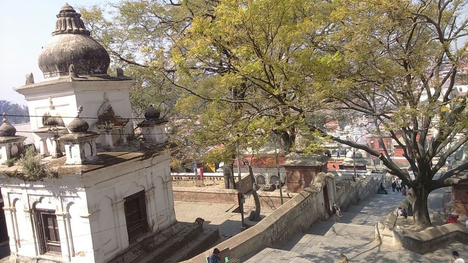 Photo of Kuil Pashupatinath, Pashupati Nath Road, Kathmandu, Nepal by febbyto