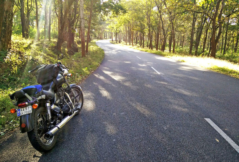 Photo of Solo ride South West India, NYE 2016 8/13 by Mohan Bvk