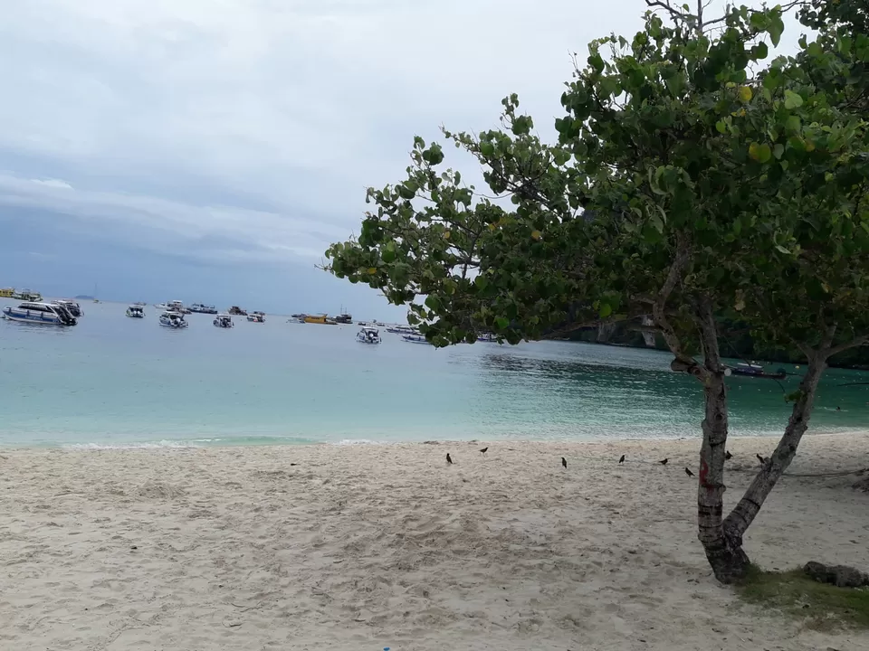 Photo of Phi phi island: photoblog by Anshuman Singh