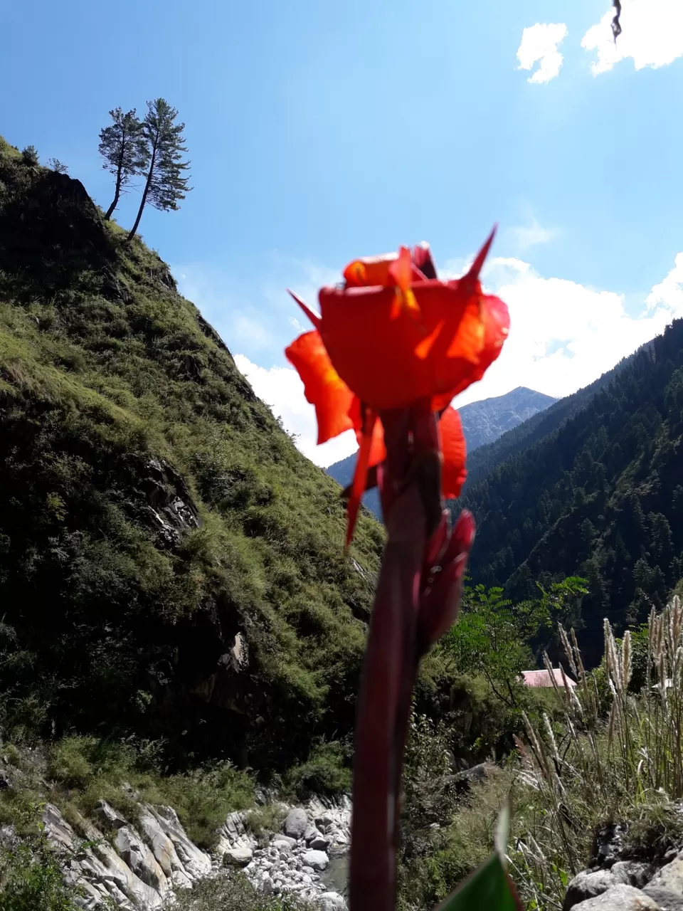 Photo of Kasol heights: the hidden gem in kasol by Anshuman Singh