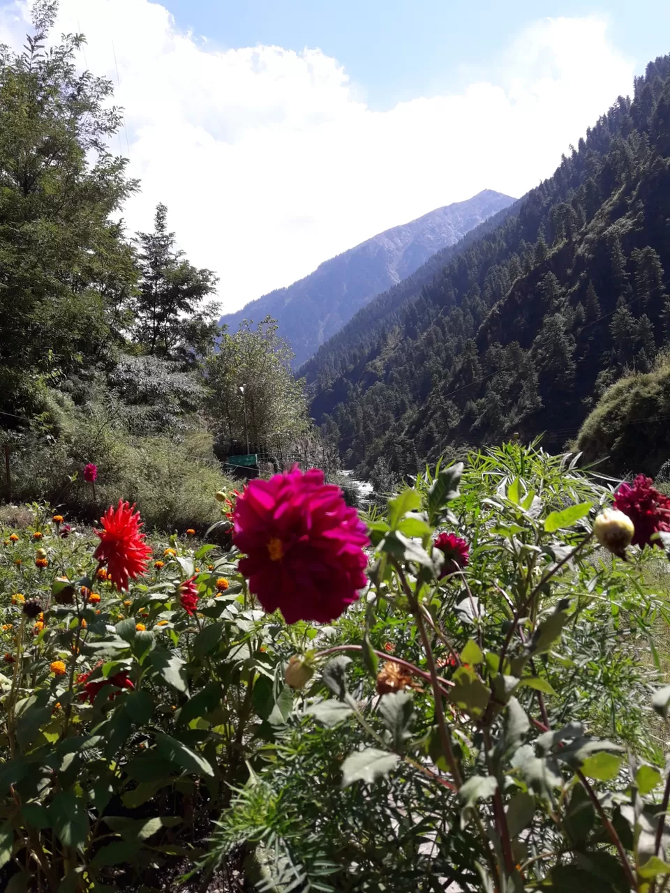 Photo of Kasol heights: the hidden gem in kasol by Anshuman Singh