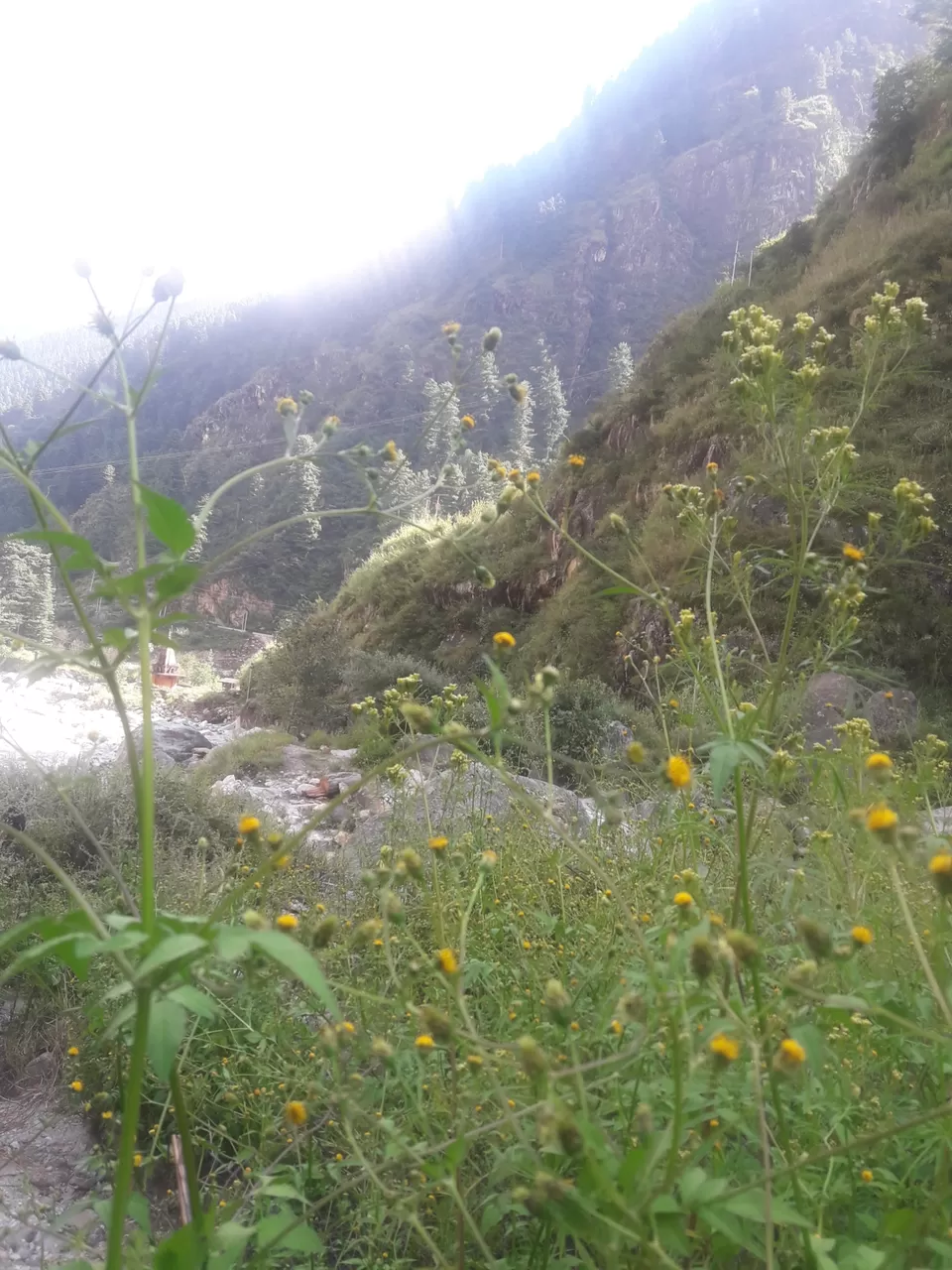 Photo of Kasol heights: the hidden gem in kasol by Anshuman Singh