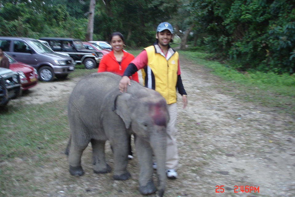 Photo of Rhino spotting: Kaziranga 5/9 by Anshuman Singh