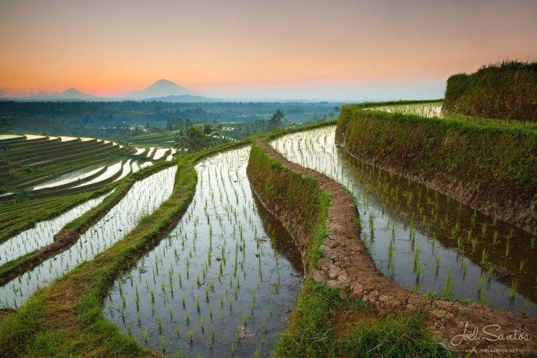 Photo of 5 International Trips That You Can Take Under Rs. 50,000 4/5 by Parichay Mehta