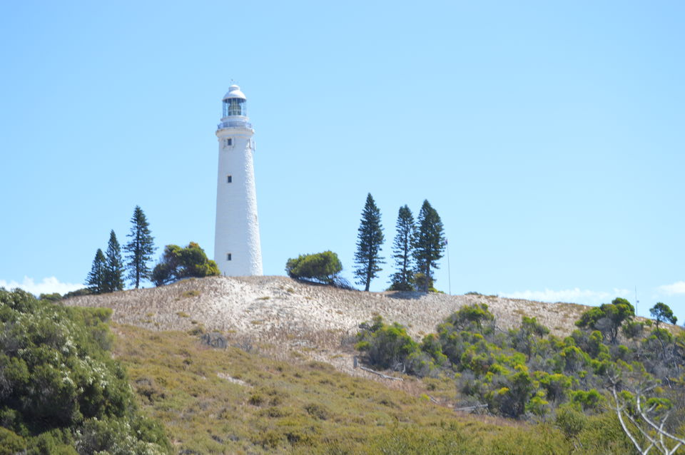 Photo of Top 5 Things To Do At Rottnest Island 4/7 by Vishal Kohli