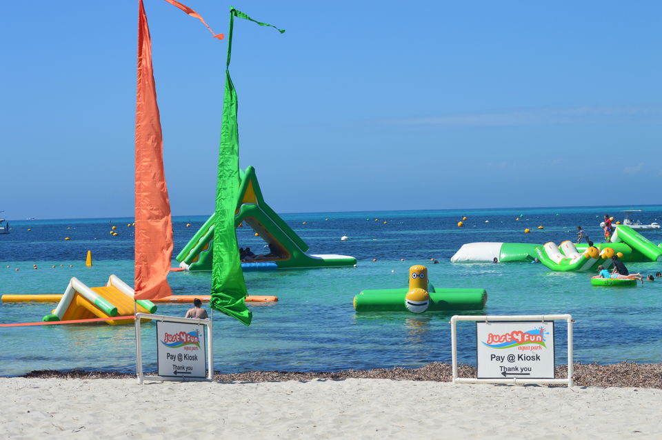 Photo of Top 5 Things To Do At Rottnest Island 5/7 by Vishal Kohli