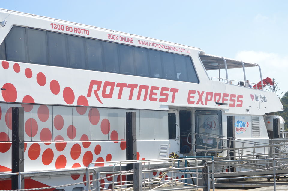 Photo of Top 5 Things To Do At Rottnest Island 6/7 by Vishal Kohli