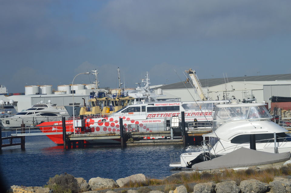 Photo of Top 5 Things To Do At Rottnest Island 7/7 by Vishal Kohli
