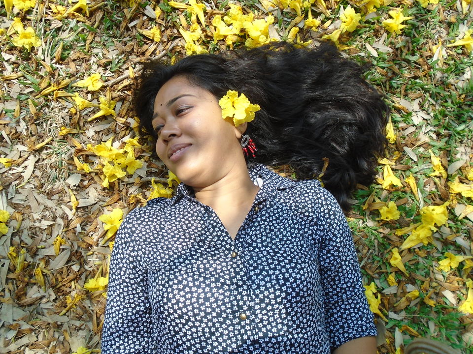 Photo of Cubbon park : Better than Lalbagh for photography 1/11 by Anusuya Ghosh