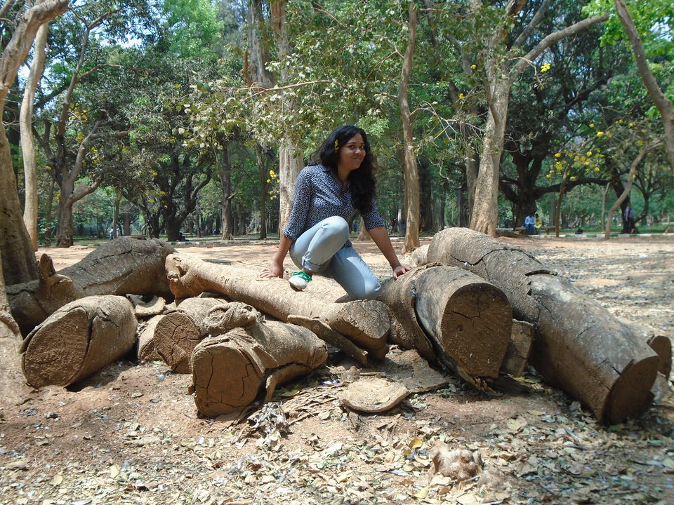 Photo of Cubbon park : Better than Lalbagh for photography 7/11 by Anusuya Ghosh