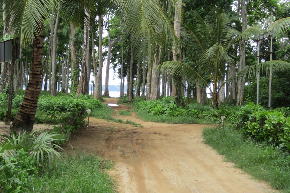 Photo of Exploring the beautiful and lonely Neil Island of Andaman 13/14 by Madhurima Dutta