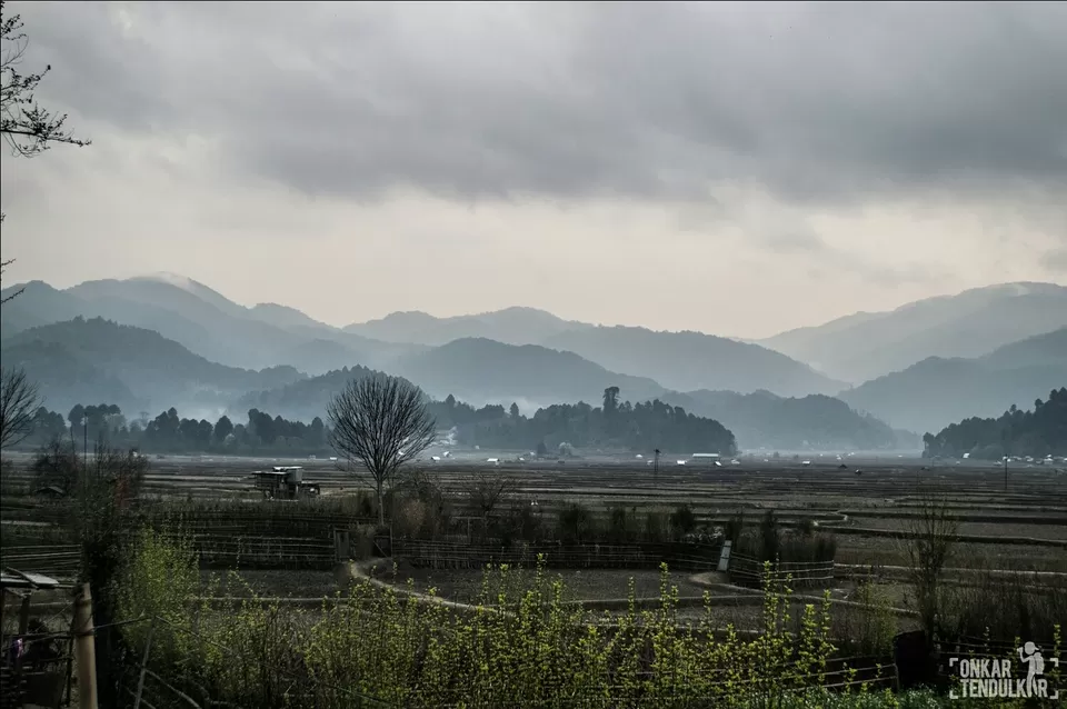 Photo of Ziro by Onkar Tendulkar