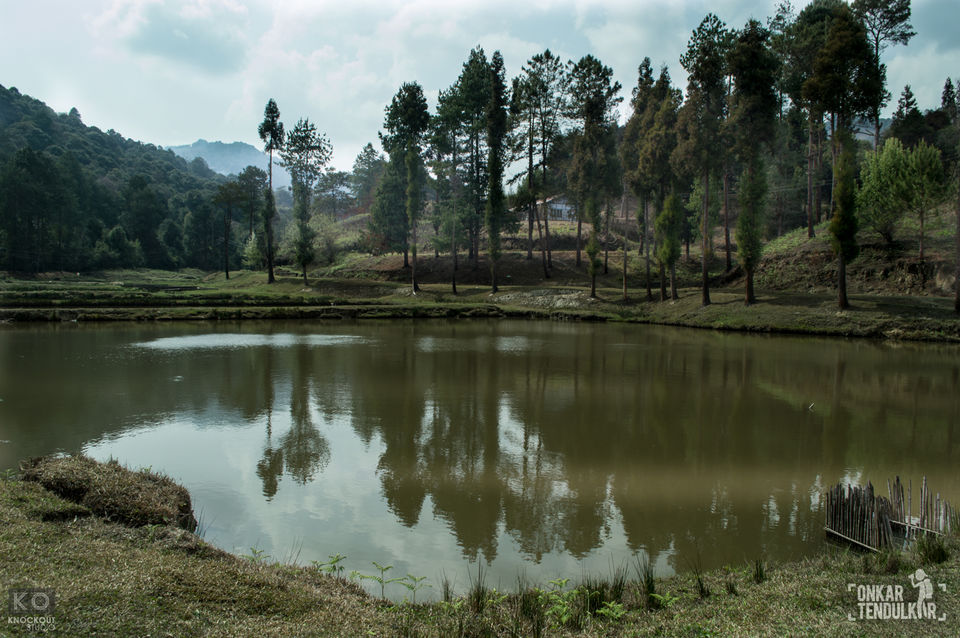Photo of Ziro valley- beauty beyond imagination! 2/7 by Onkar Tendulkar