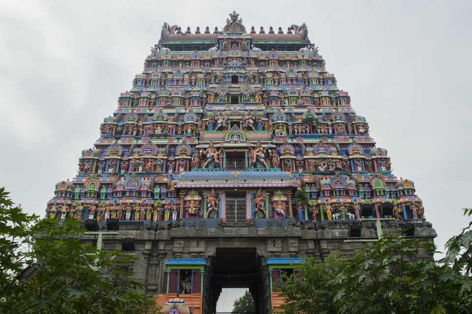 Photo of Chidambaram & Pichavaram- half a day trip from Pondicherry! 1/1 by Onkar Tendulkar