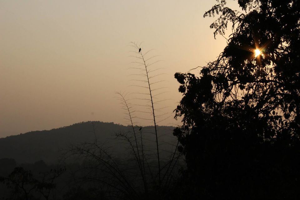 Photo of Magical Malnad at Ammadi Mane, Koppa 13/26 by Prathibha Bisarahalli
