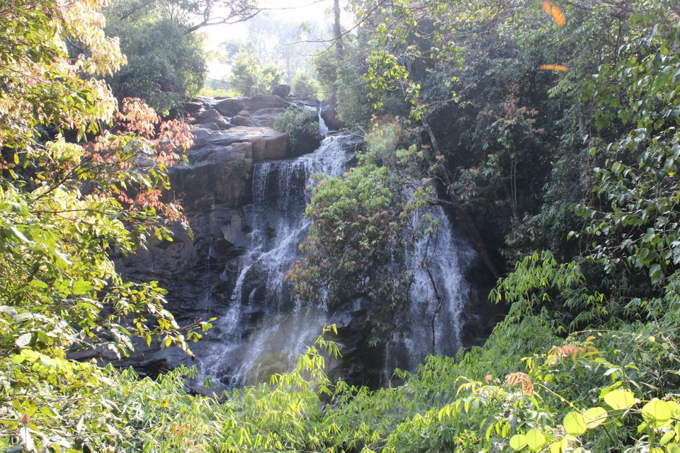 Photo of Magical Malnad at Ammadi Mane, Koppa 25/26 by Prathibha Bisarahalli