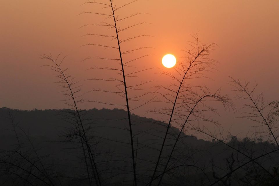 Photo of Magical Malnad at Ammadi Mane, Koppa 14/26 by Prathibha Bisarahalli