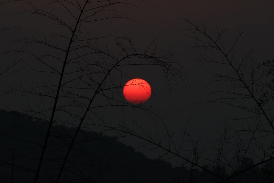 Photo of Magical Malnad at Ammadi Mane, Koppa 16/26 by Prathibha Bisarahalli
