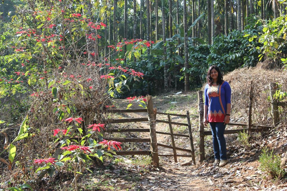 Photo of Magical Malnad at Ammadi Mane, Koppa 21/26 by Prathibha Bisarahalli