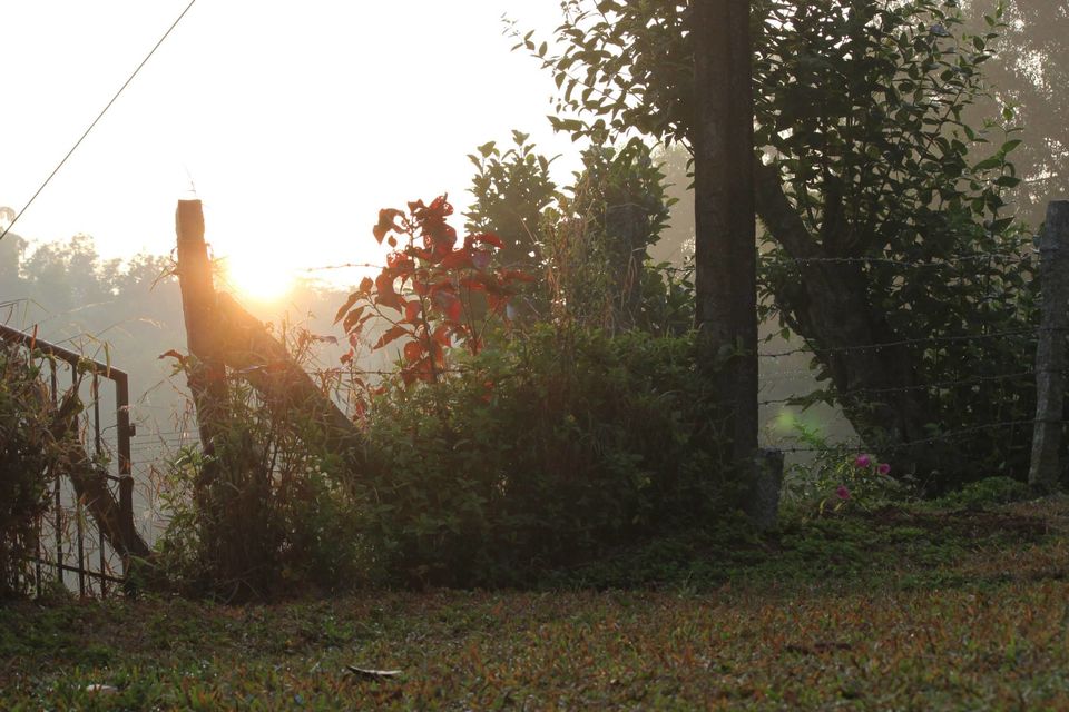 Photo of Magical Malnad at Ammadi Mane, Koppa 18/26 by Prathibha Bisarahalli
