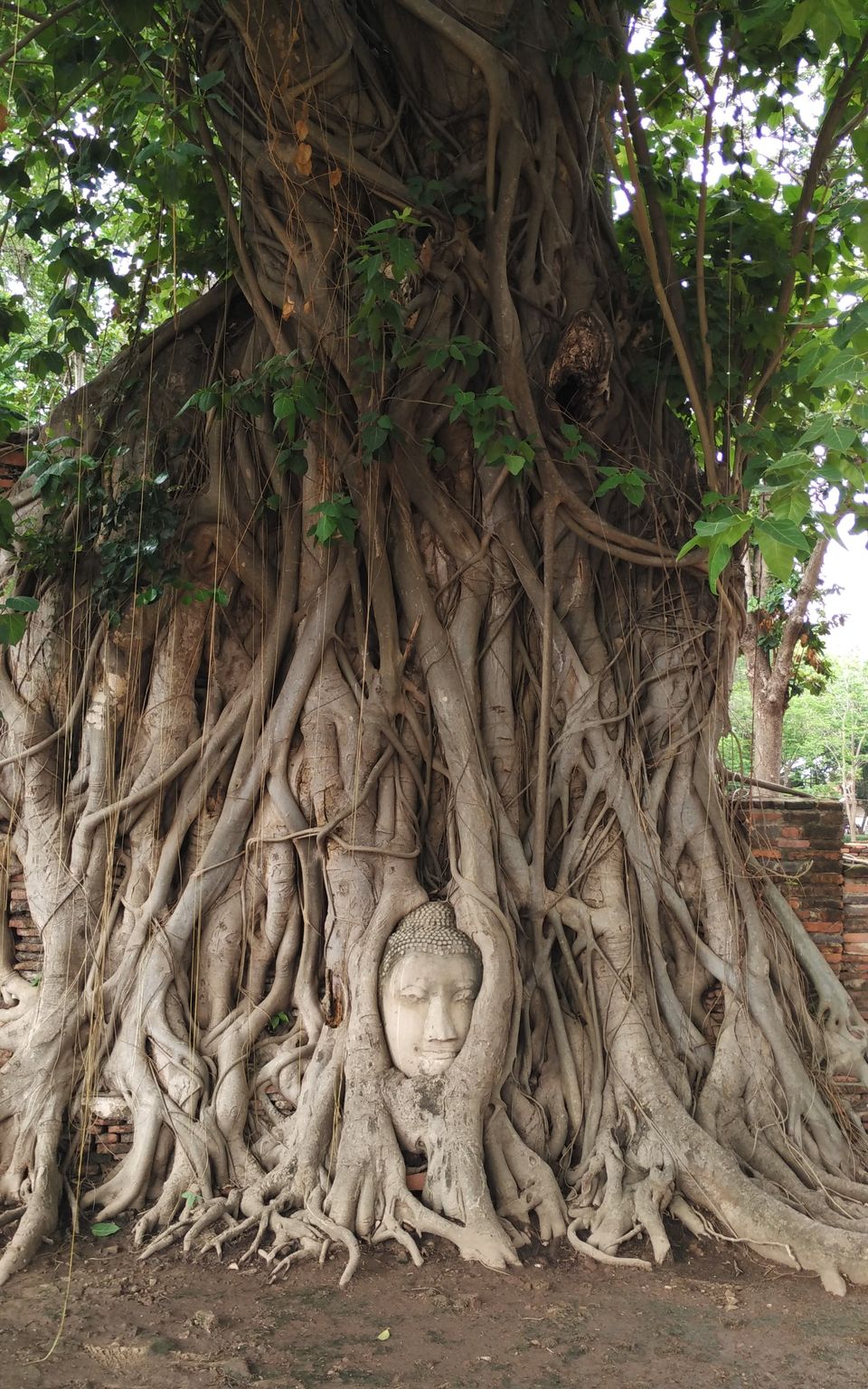 Photo of Roads Less Traveled in Thailand - Ayutthaya by Muthu Venkatesh