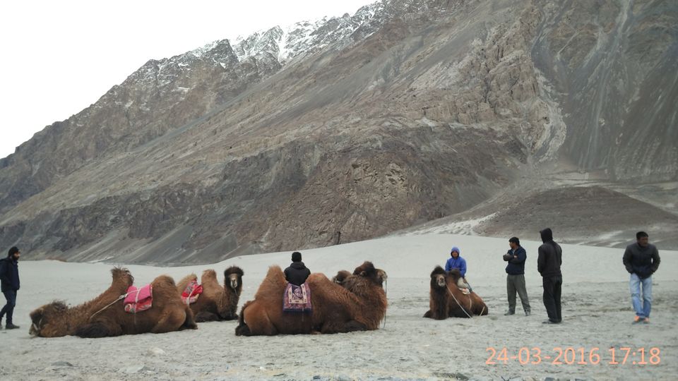 Photo of Winter Tales of Ladakh by Muthu Venkatesh