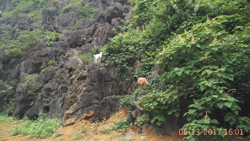 Photo of Vietnam Diaries (North) – Ninh Binh, Halong Bay and Hanoi by Muthu Venkatesh