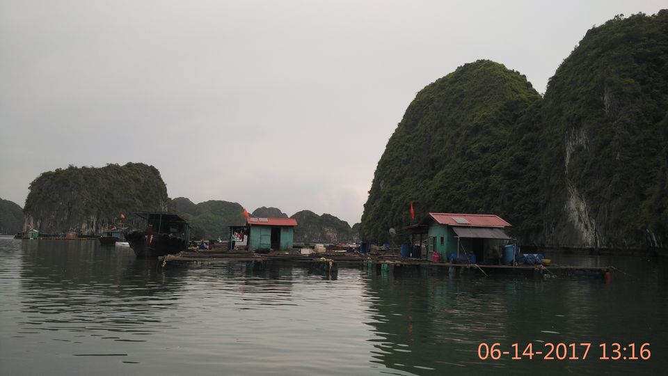 Photo of Vietnam Diaries (North) – Ninh Binh, Halong Bay and Hanoi by Muthu Venkatesh
