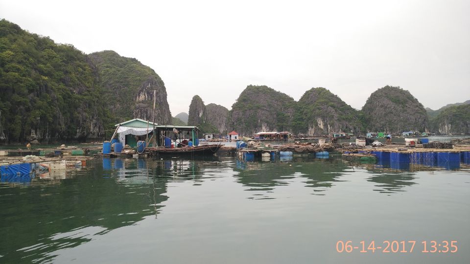 Photo of Vietnam Diaries (North) – Ninh Binh, Halong Bay and Hanoi by Muthu Venkatesh