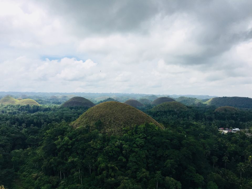 Photo of Bohol 2018 - A day in the Island of Tarsier (Philippines, Vlog# 1) by Neil Ghosh - The Lost Bong