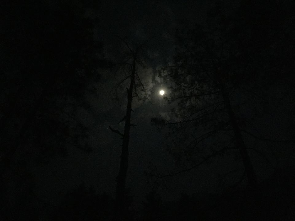 Photo of Kasol - The Mini-Israel Travelogue (Kasol Vlog, Part 1) by Neil Ghosh - The Lost Bong